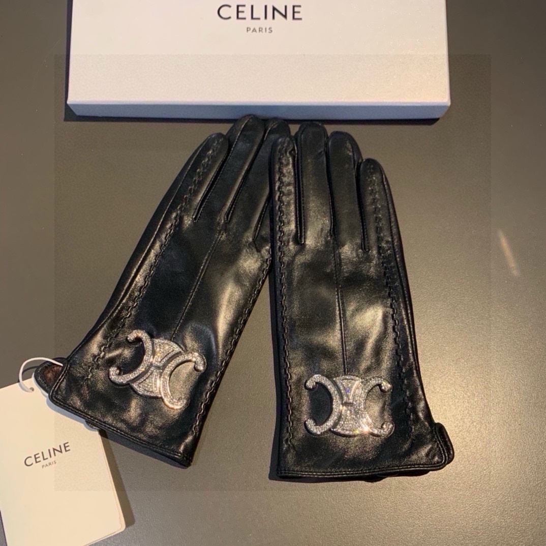 Celine Gloves