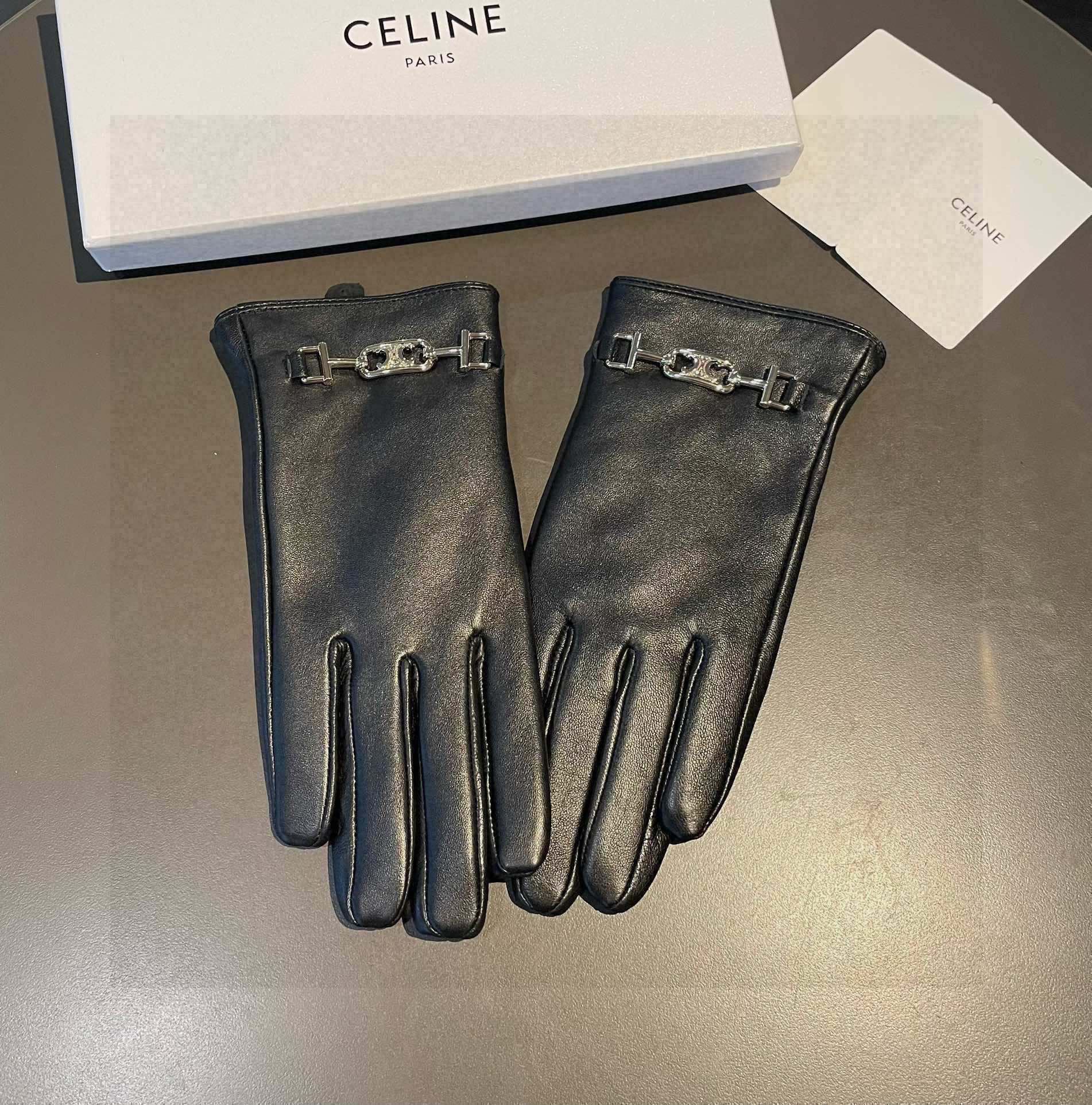 Celine Gloves