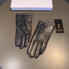 YSL Gloves