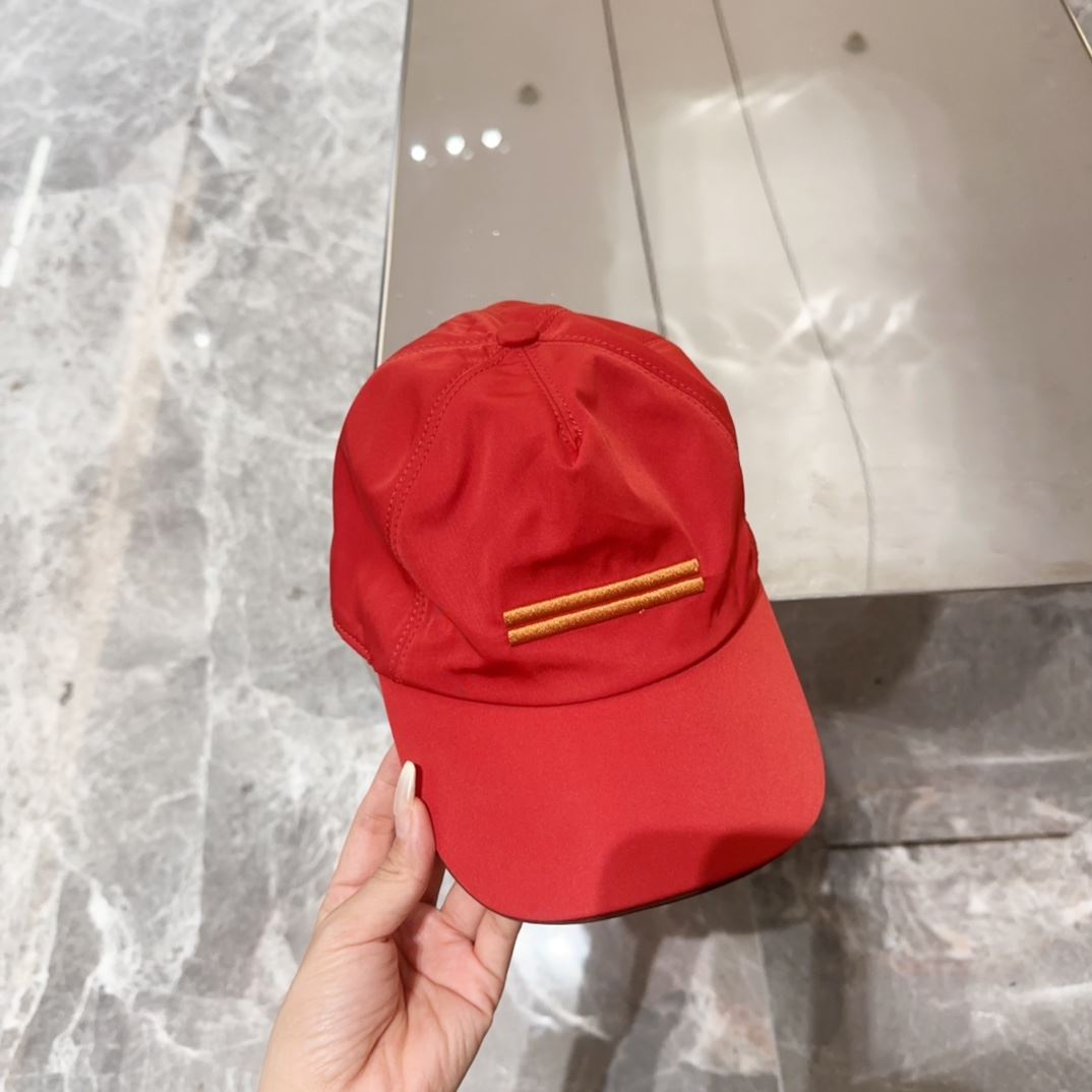 Zegna Caps