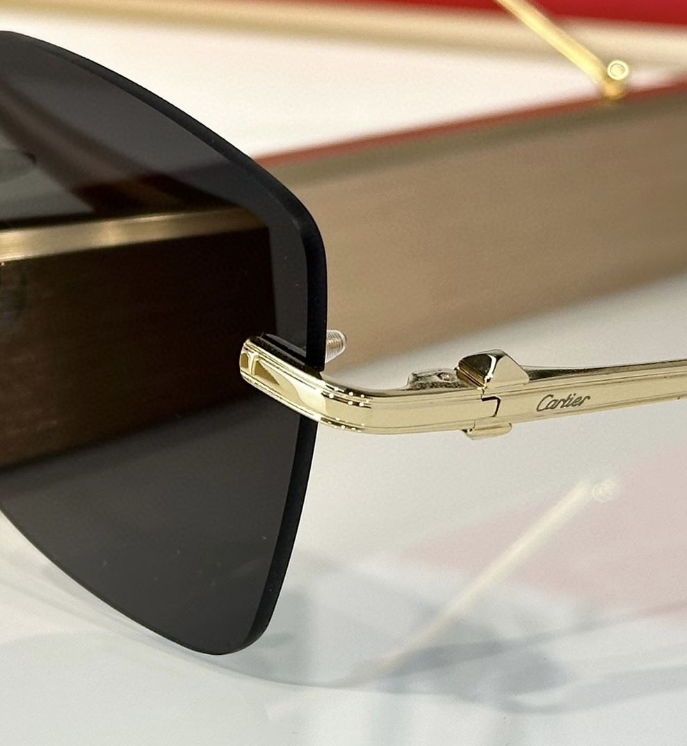 Cartier Sunglasses