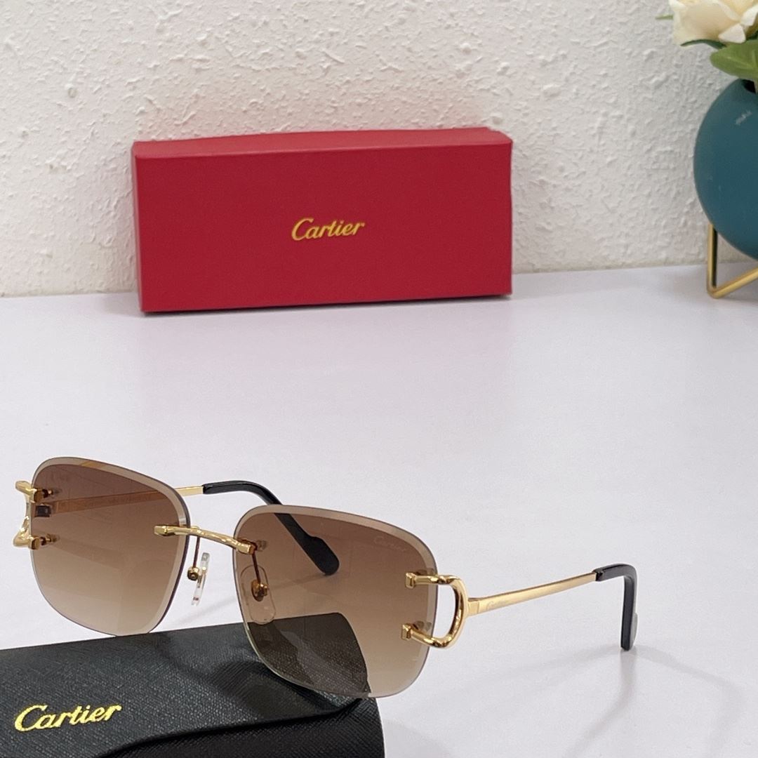 Cartier Sunglasses