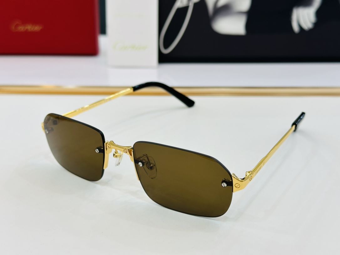 Cartier Sunglasses