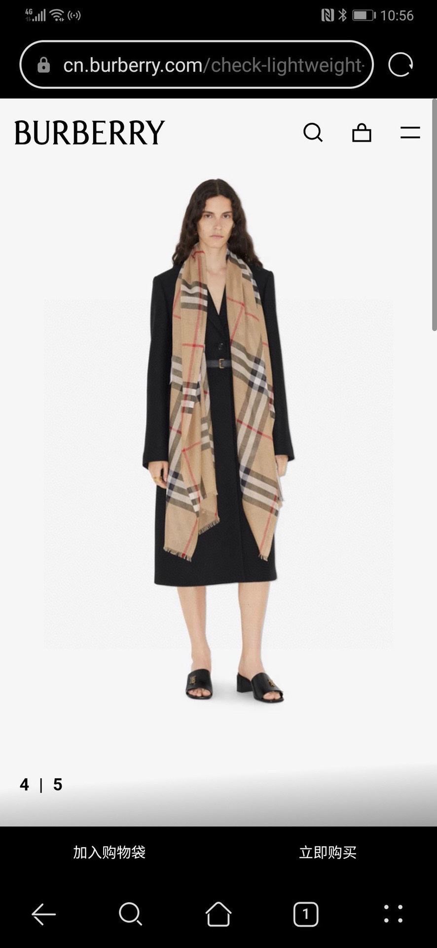 Burberry Scarf