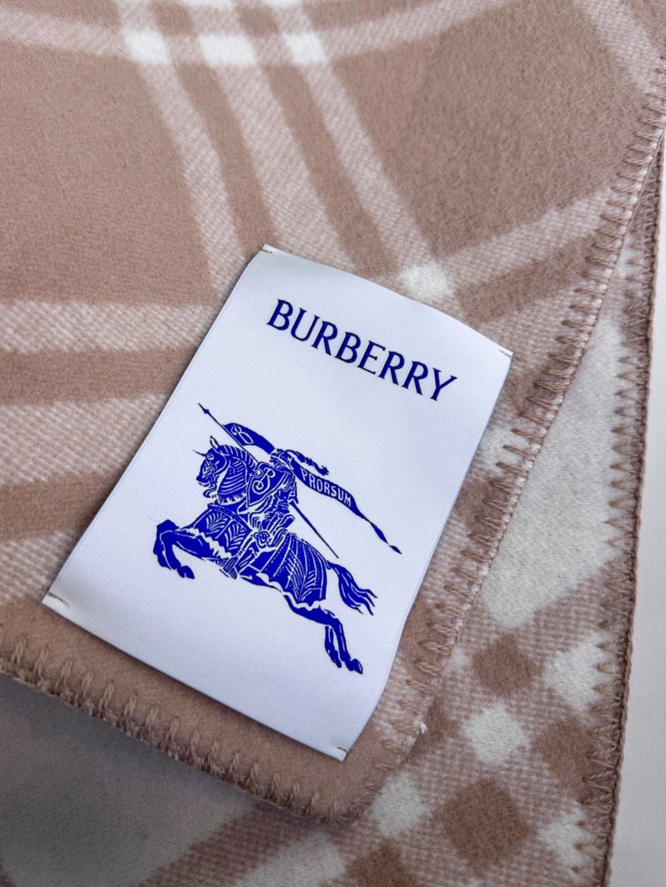 Burberry Scarf