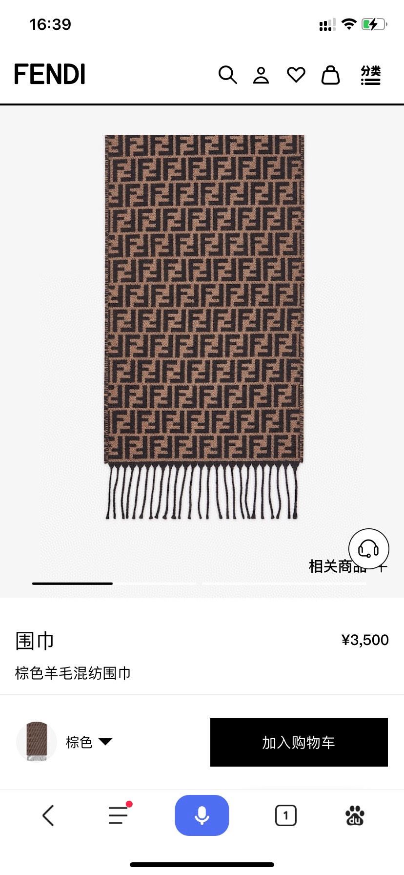 Fendi Scarf