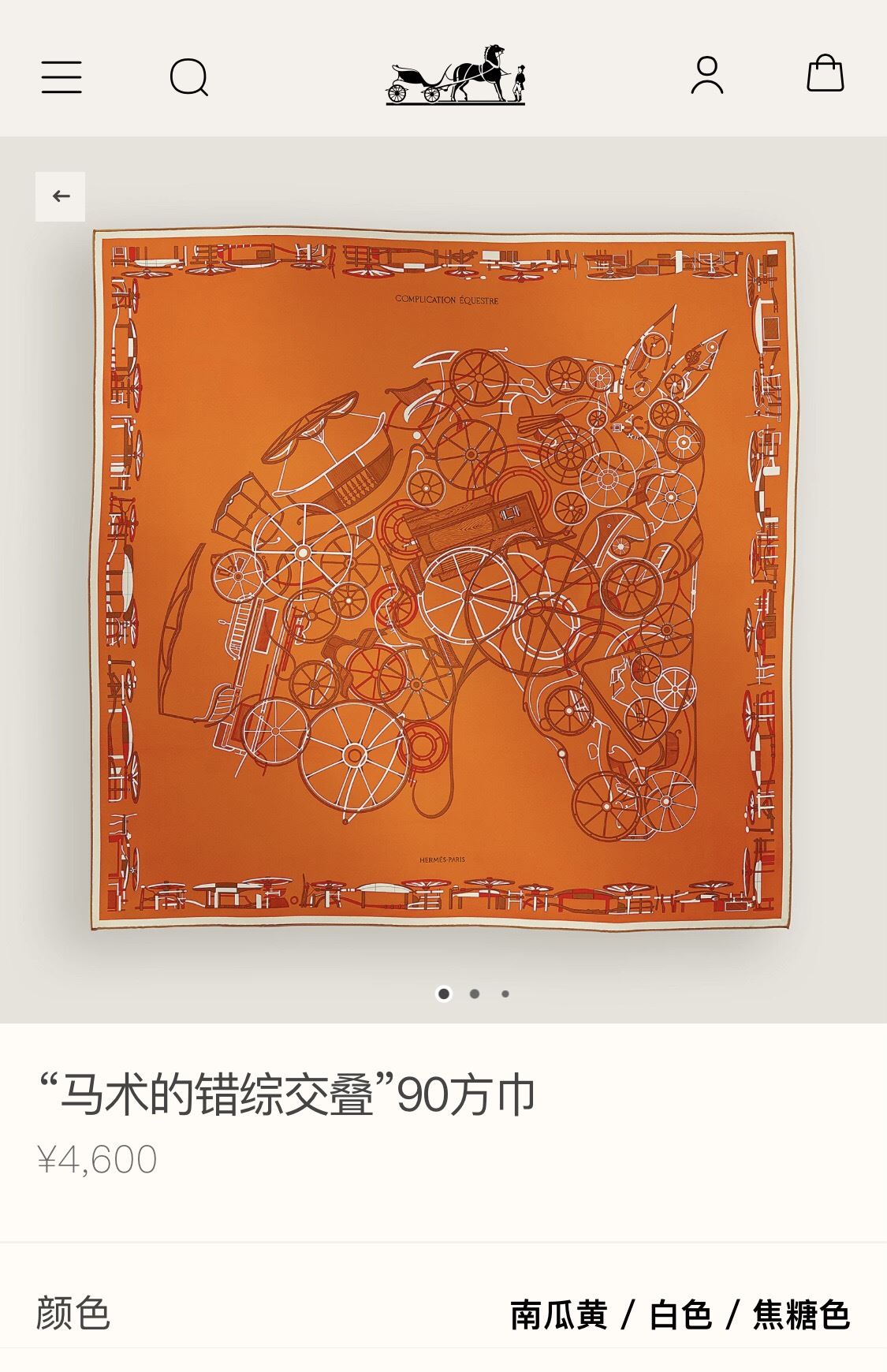 Hermes Scarf