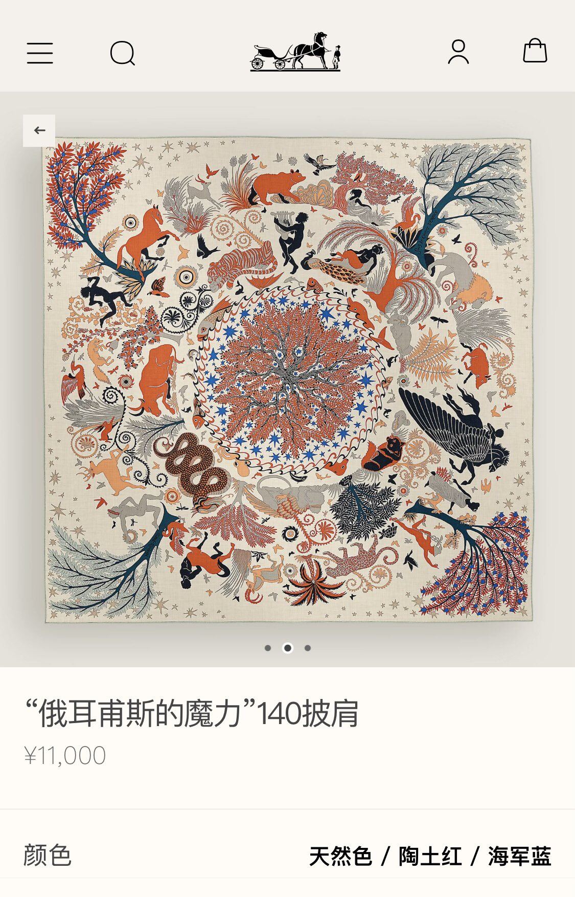 Hermes Scarf