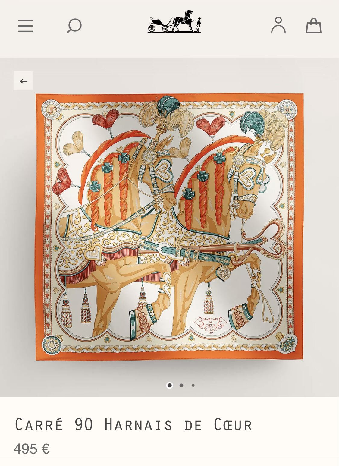 Hermes Scarf