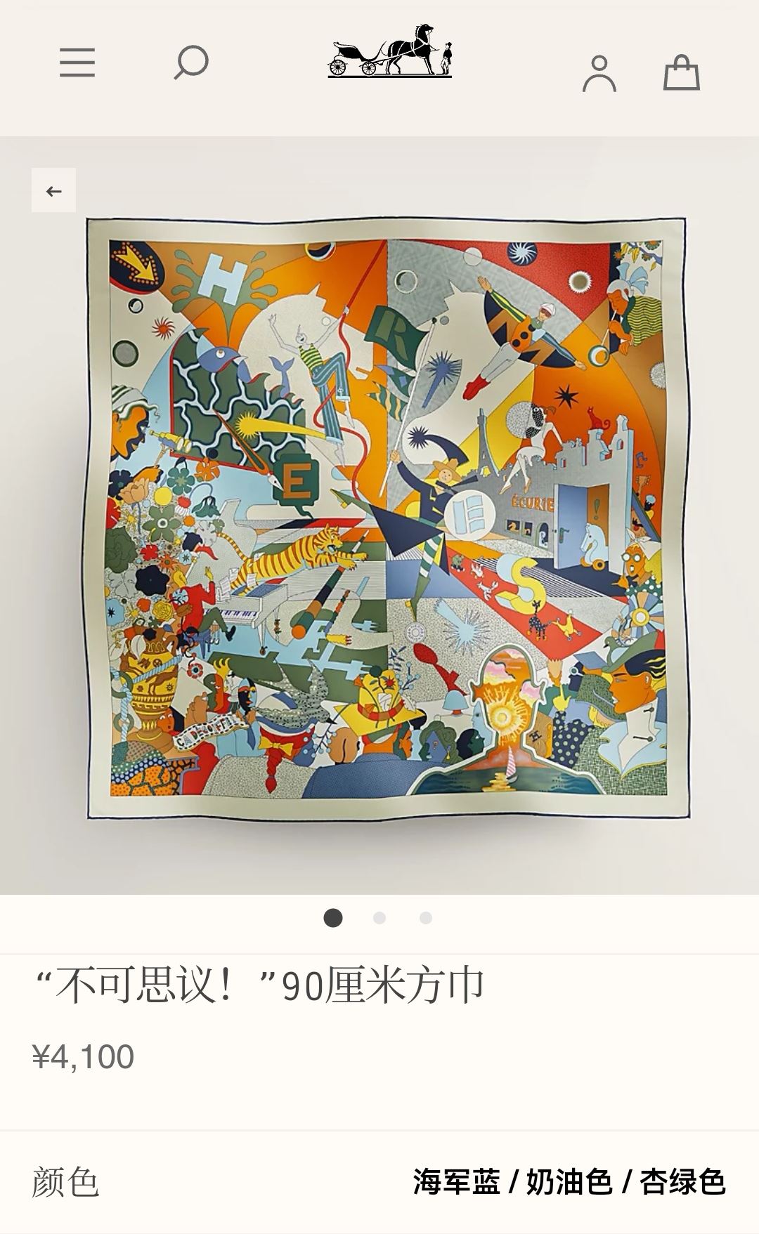 Hermes Scarf