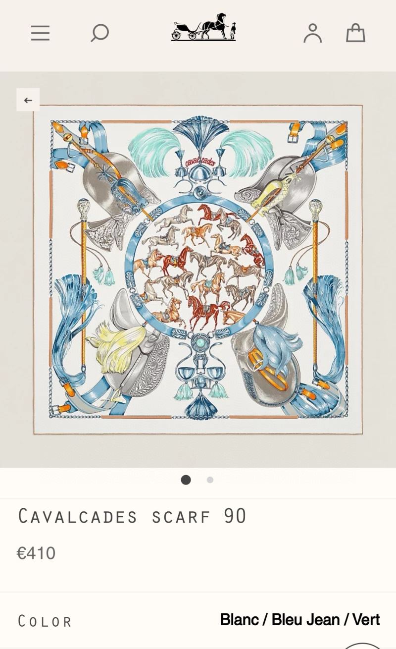 Hermes Scarf