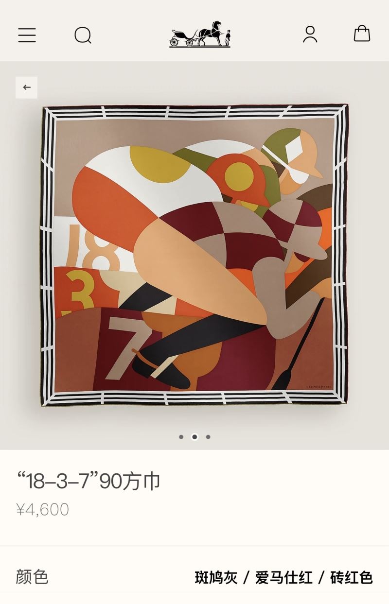 Hermes Scarf