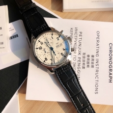 IWC Watches