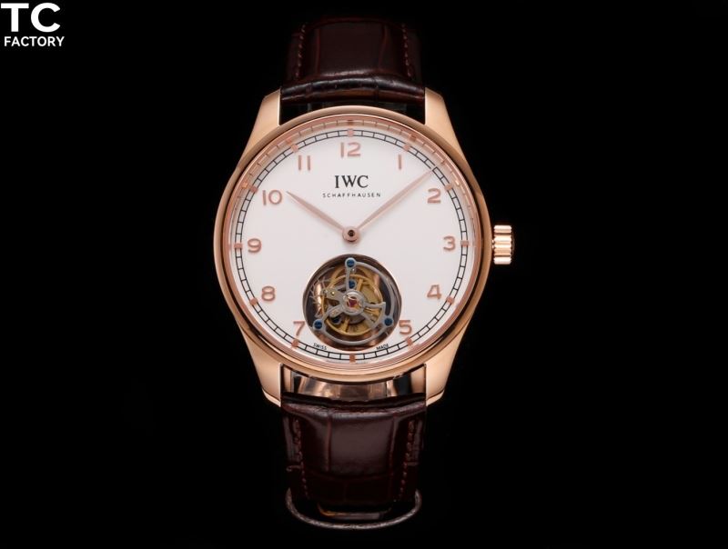 IWC Watches