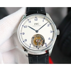 IWC Watches